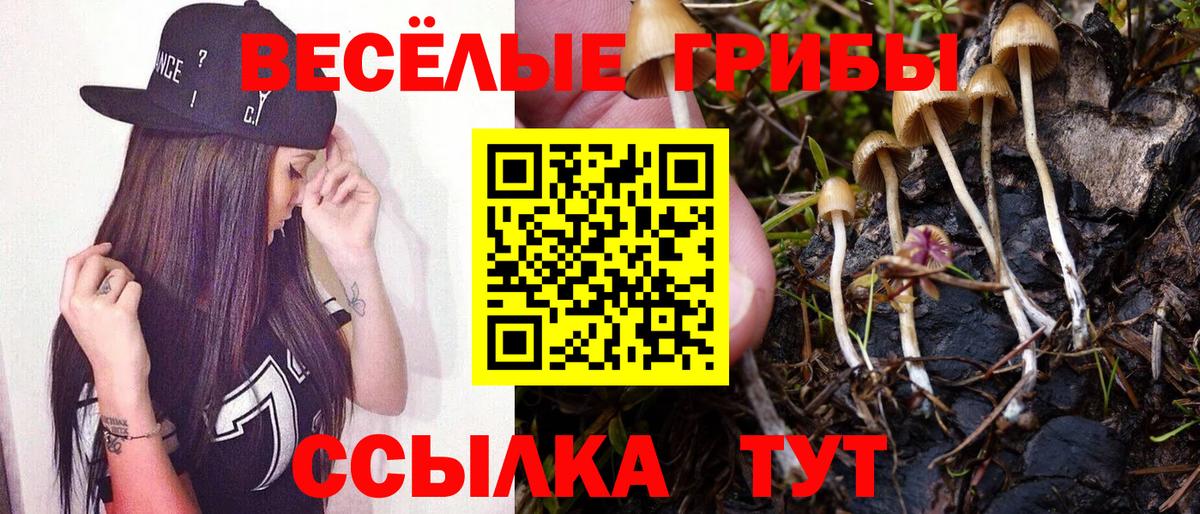 Псилоцибиновые грибы мухоморы Ишимбай