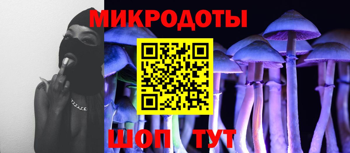Псилоцибиновые грибы MAGIC MUSHROOMS  Вход с VPN  Ишимбай  Галлюциногенные грибы Cubensis 